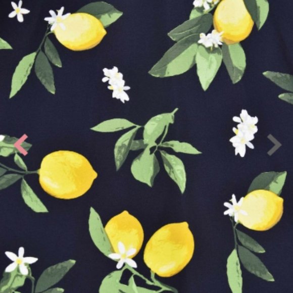 1950s Summer Lemon Navy Circle Skirt - Picture 5 of 5